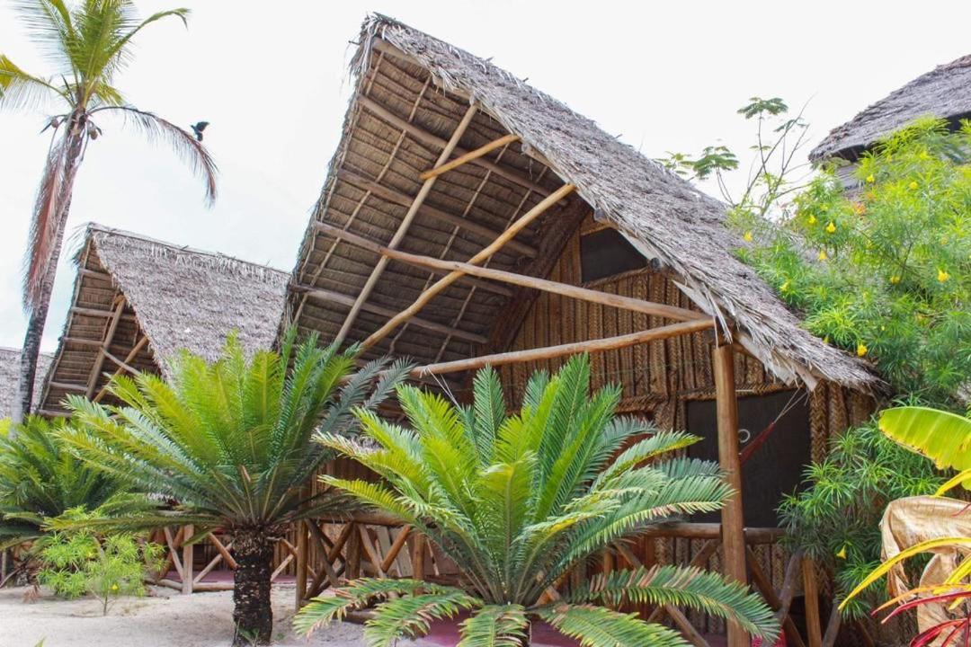 New Jambo Bungalows Paje Zewnętrze zdjęcie