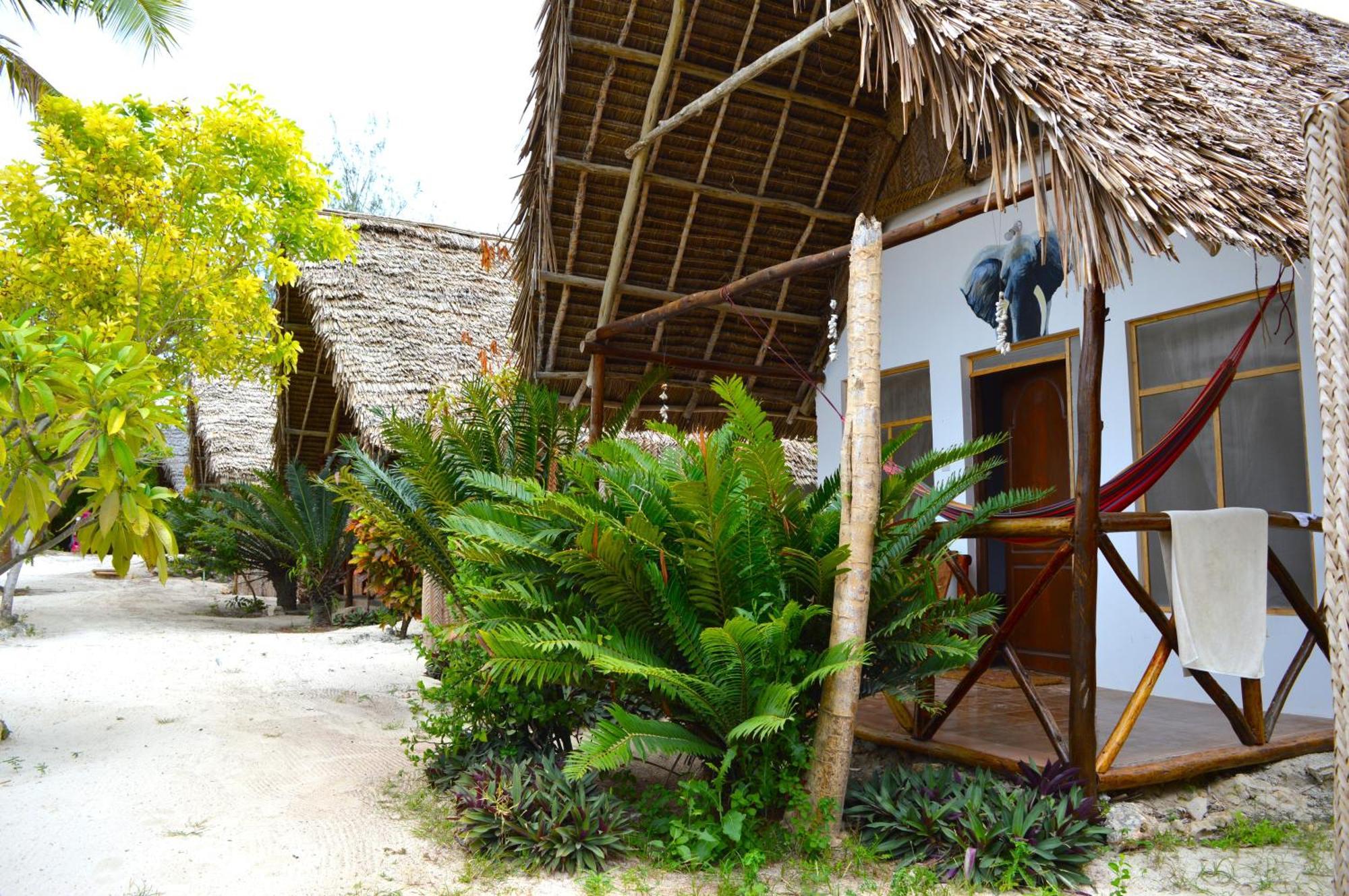 New Jambo Bungalows Paje Zewnętrze zdjęcie