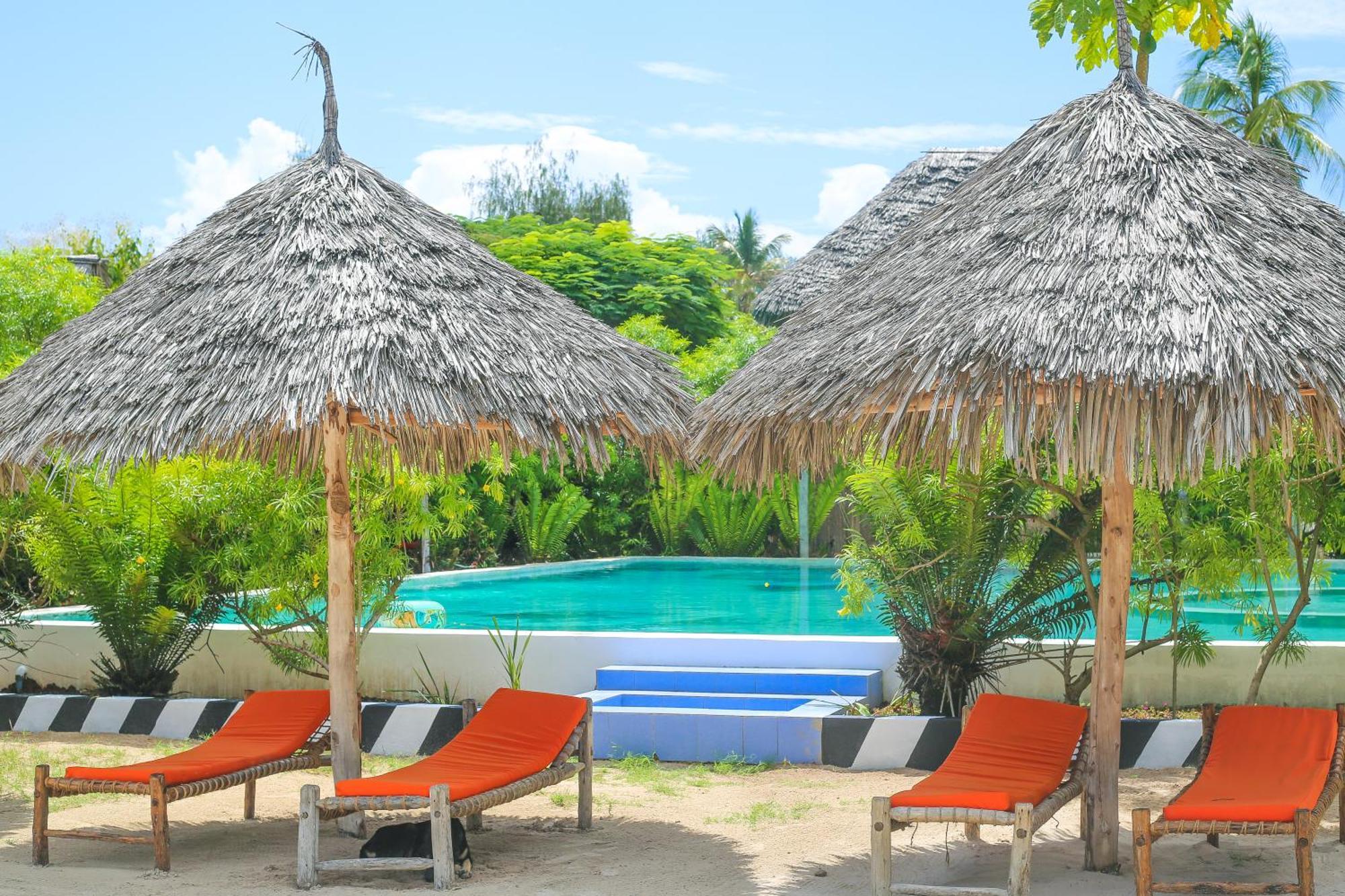 New Jambo Bungalows Paje Zewnętrze zdjęcie